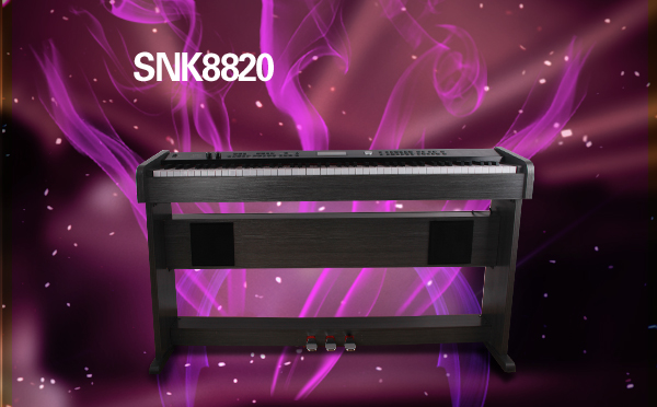 SNK8820-胡桃木